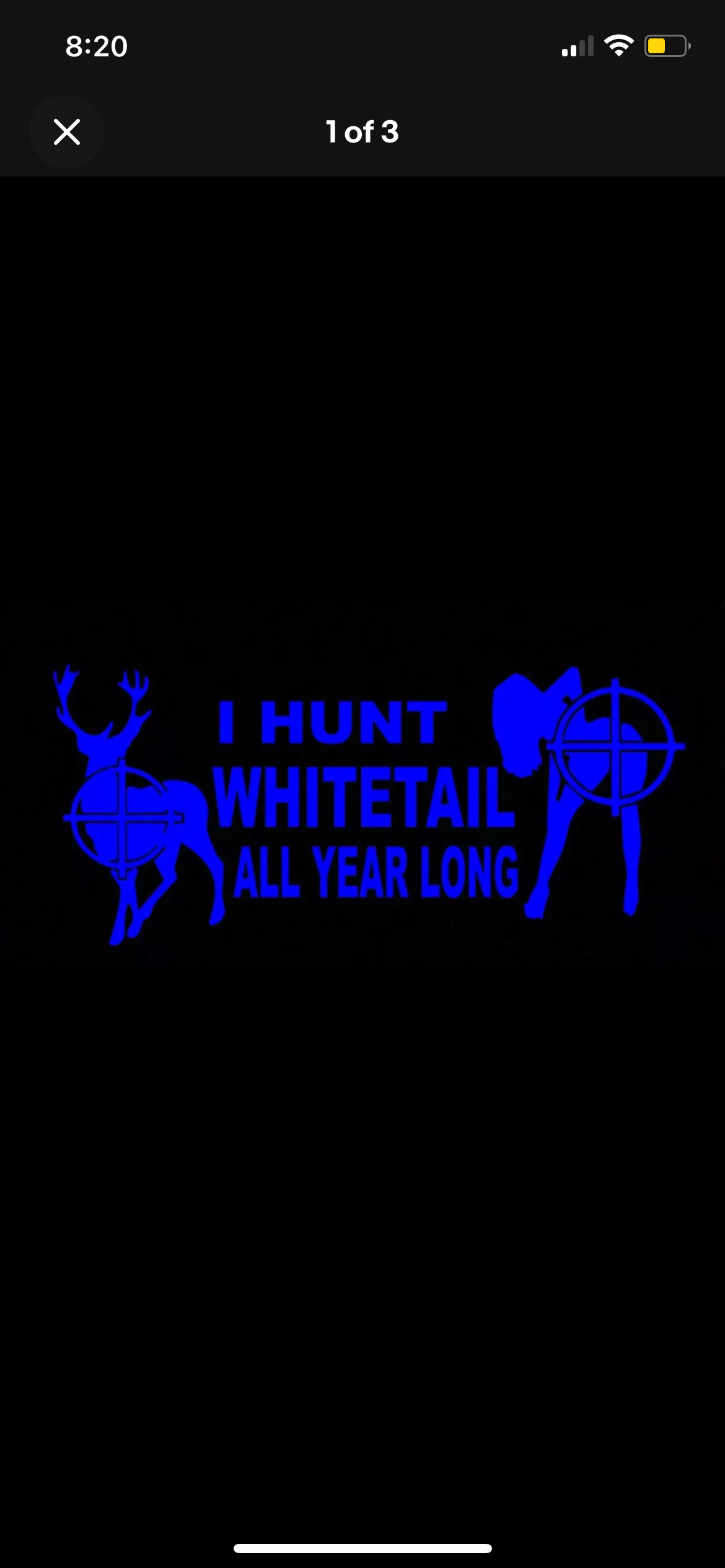 I Hunt Whitetail All Year Long Funny Decal / Sticker