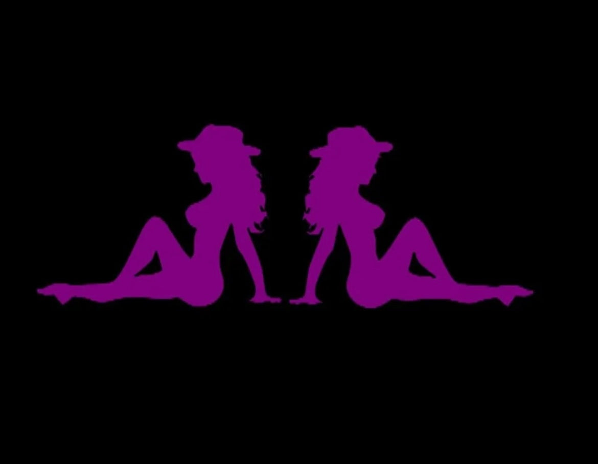 Cow Girl country mudflap Trucker Girls Decal / Sticker