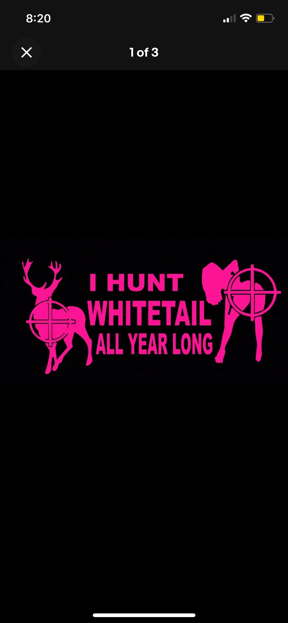 I Hunt Whitetail All Year Long Funny Decal / Sticker