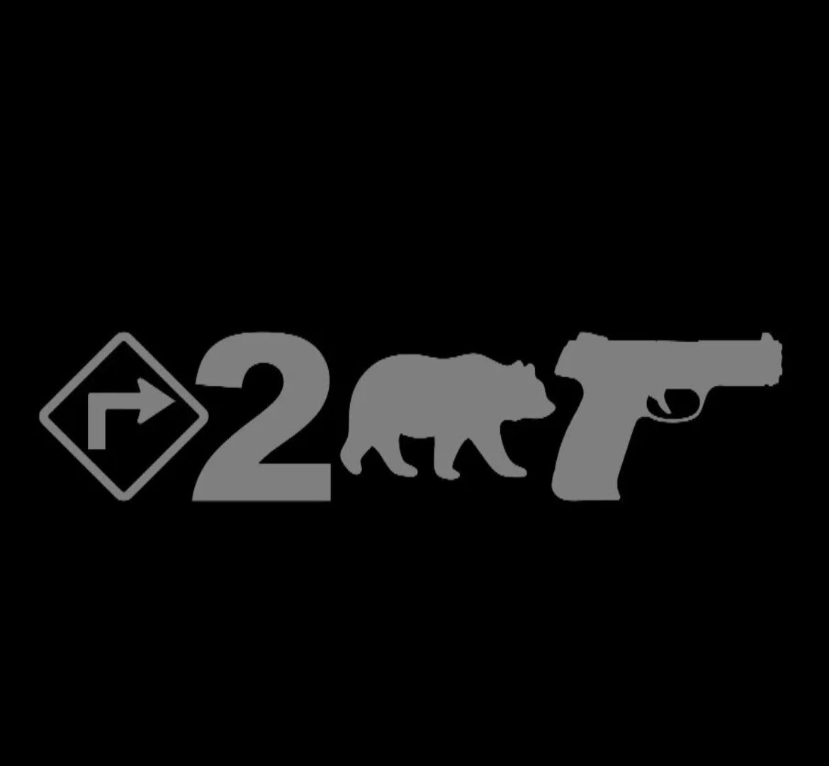 Right To Bear Arms vinyl decal sticker