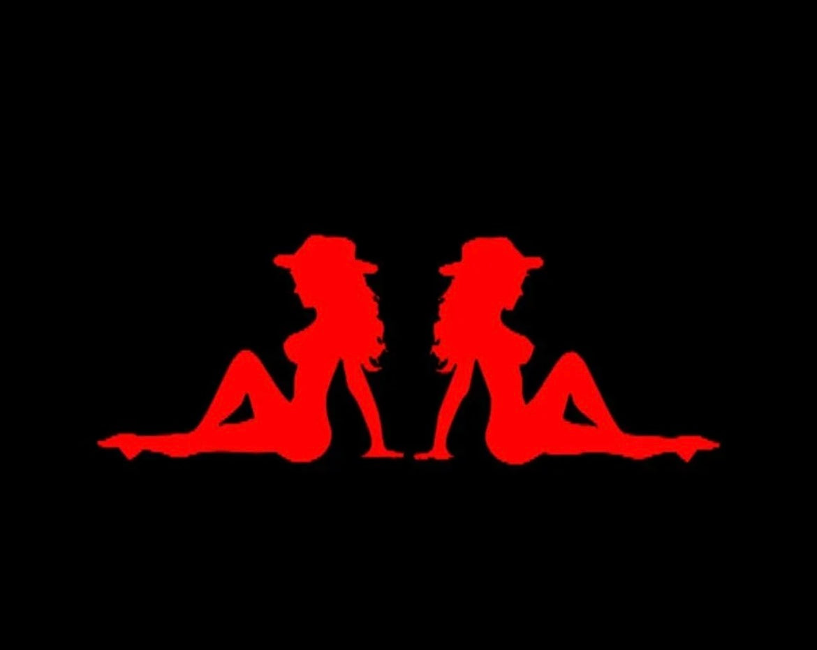 Cow Girl country mudflap Trucker Girls Decal / Sticker