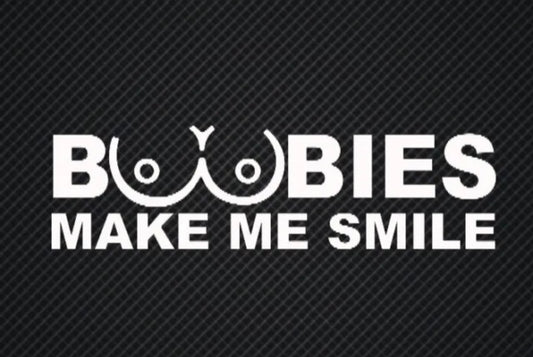 Boobies Make Me Smile Decal / Sticker