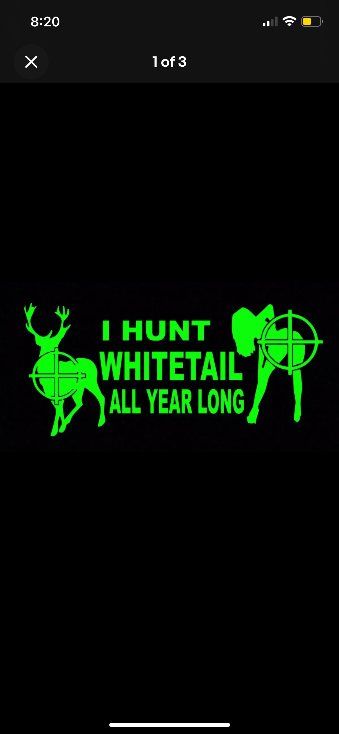 I Hunt Whitetail All Year Long Funny Decal / Sticker