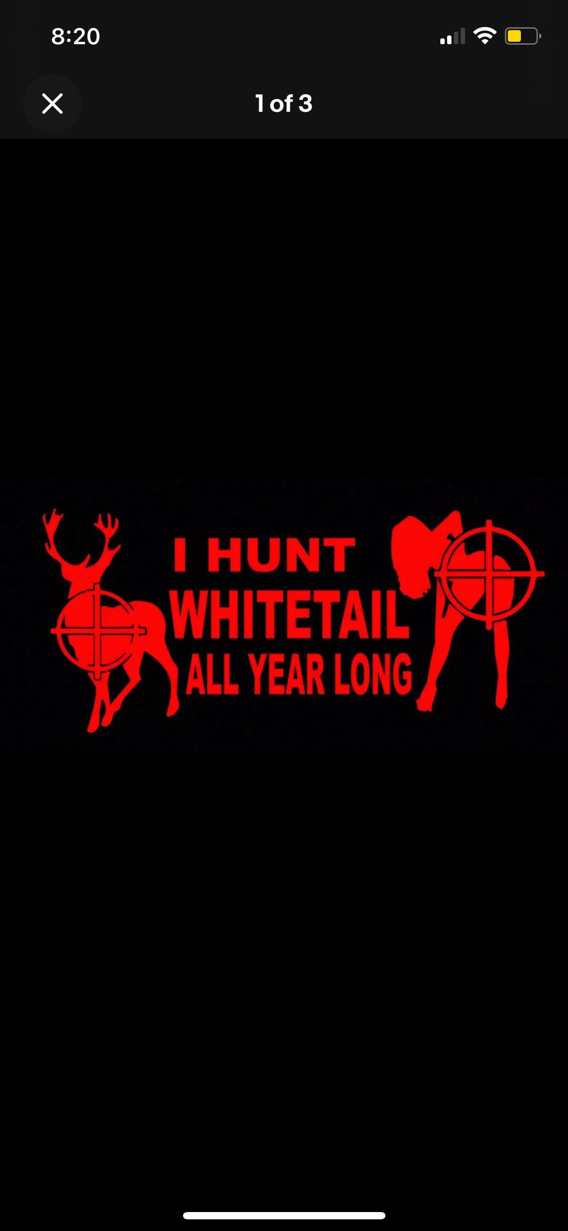 I Hunt Whitetail All Year Long Funny Decal / Sticker