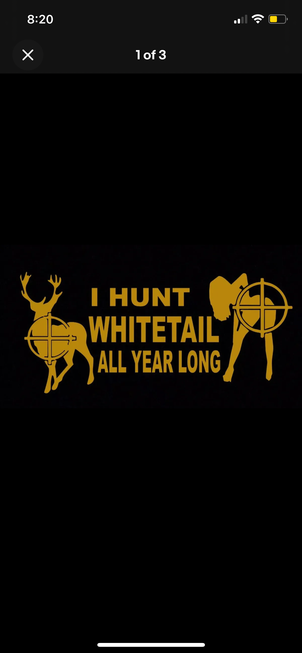 I Hunt Whitetail All Year Long Funny Decal / Sticker