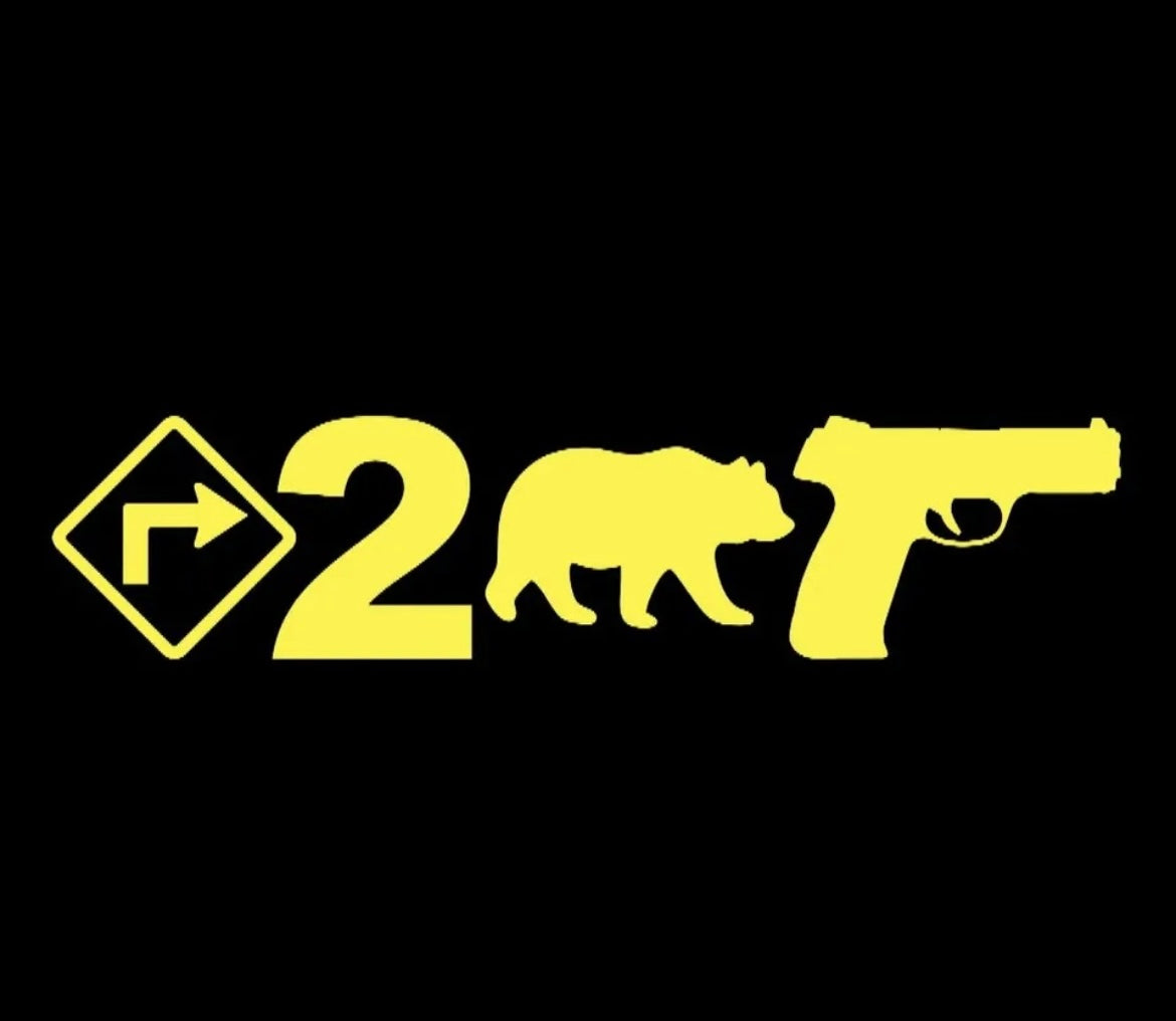 Right To Bear Arms vinyl decal sticker