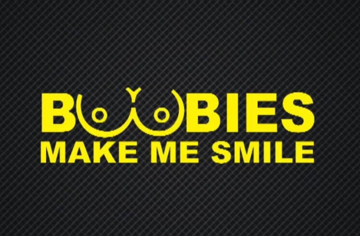 Boobies Make Me Smile Decal / Sticker