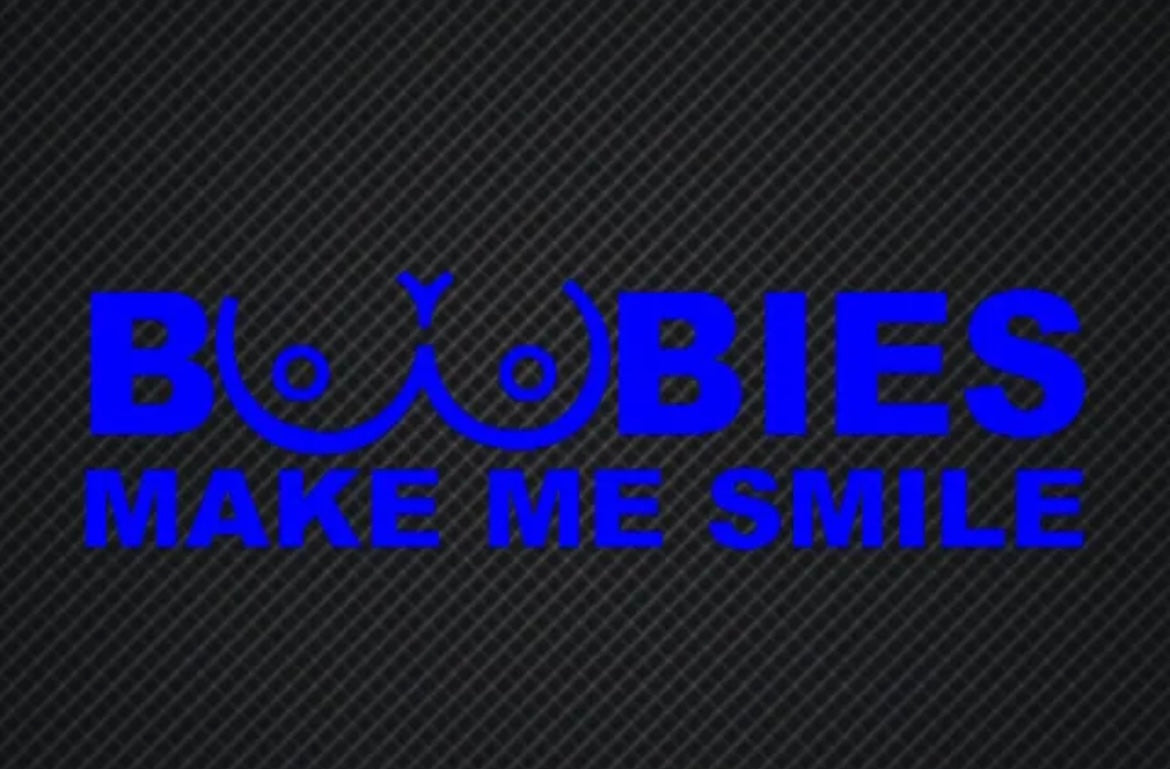 Boobies Make Me Smile Decal / Sticker