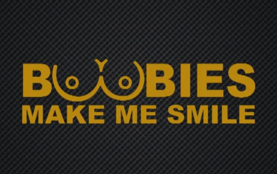 Boobies Make Me Smile Decal / Sticker