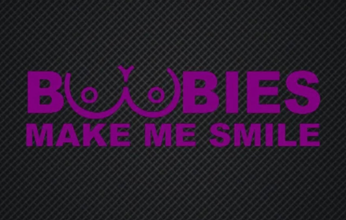 Boobies Make Me Smile Decal / Sticker