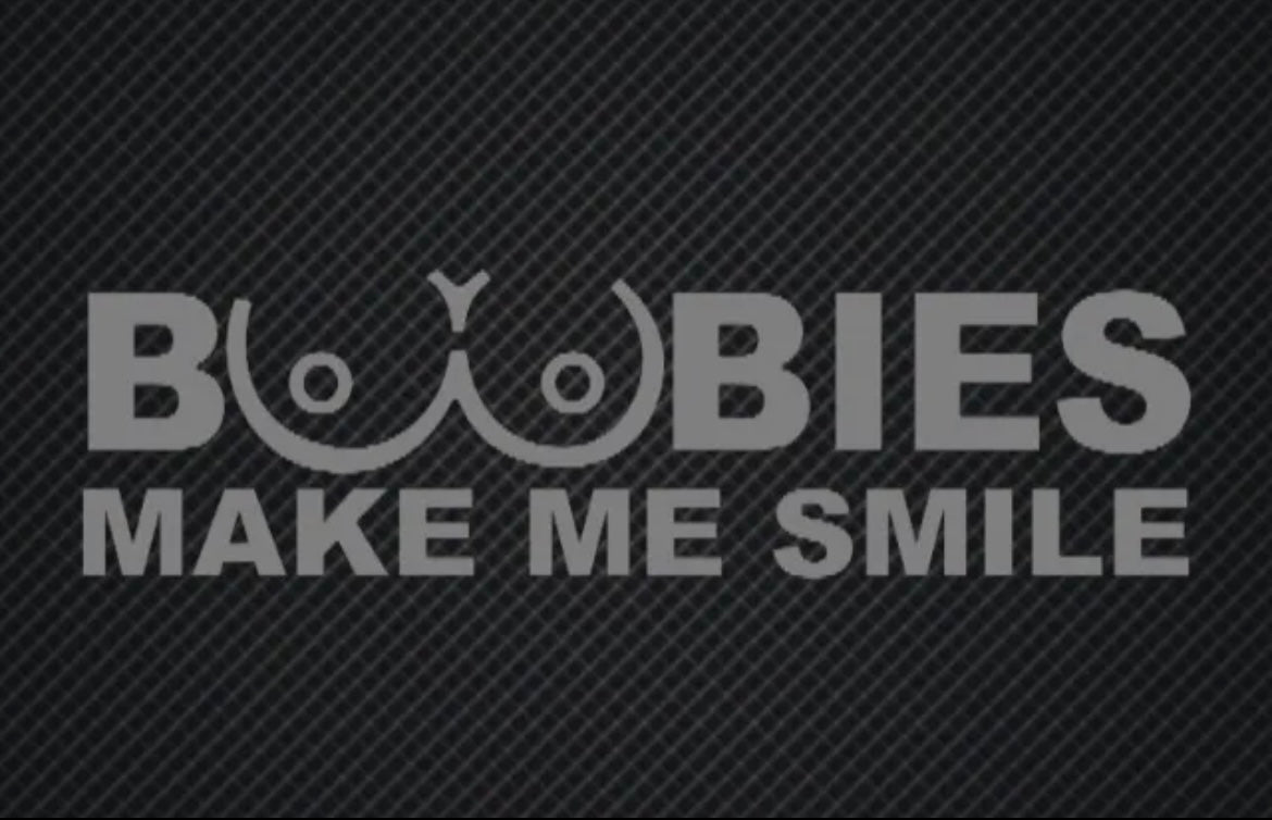 Boobies Make Me Smile Decal / Sticker